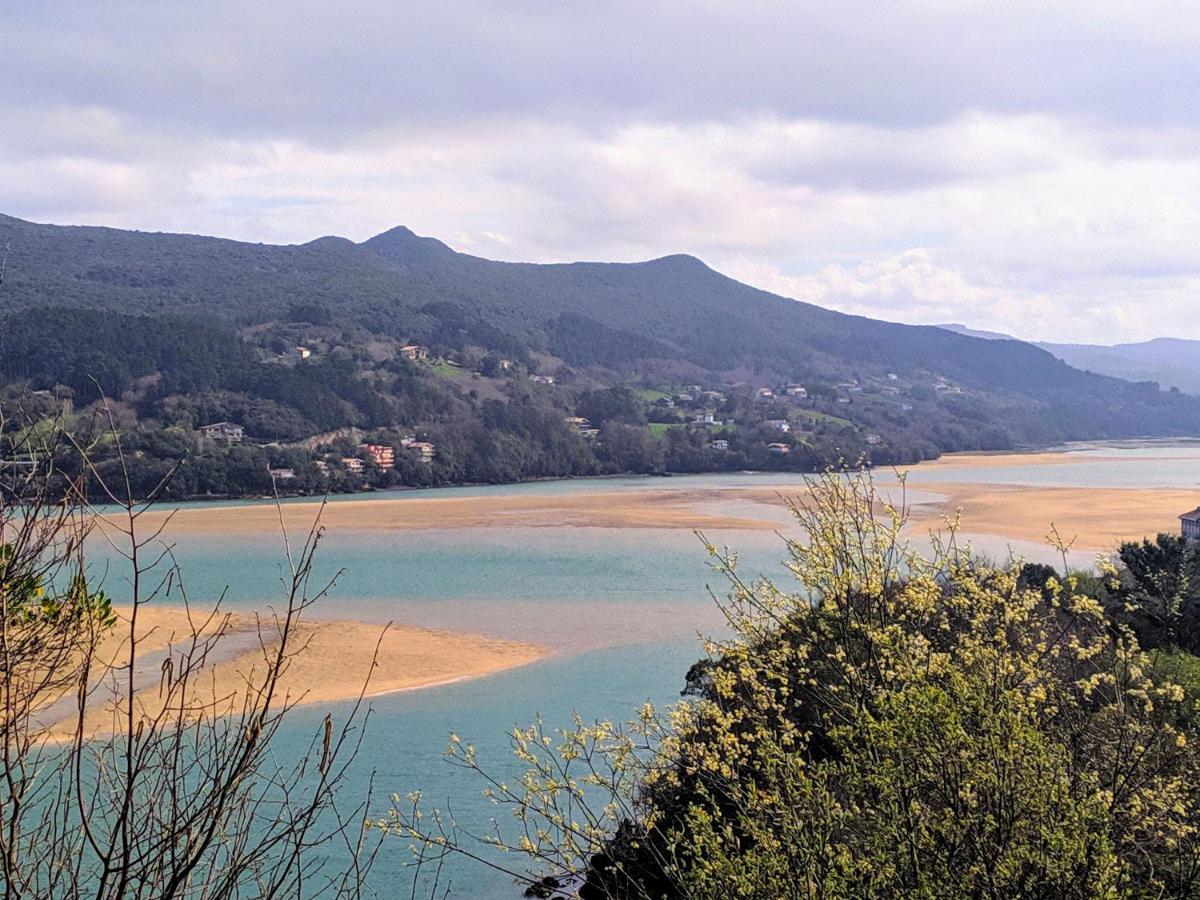 Lamerako Etxie - La Casa Del Parque - Park S Home Bermeo Eksteriør bilde